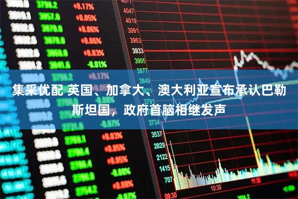 集采优配 英国、加拿大、澳大利亚宣布承认巴勒斯坦国，政府首脑相继发声