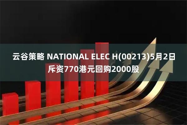 云谷策略 NATIONAL ELEC H(00213)5月2日斥资770港元回购2000股